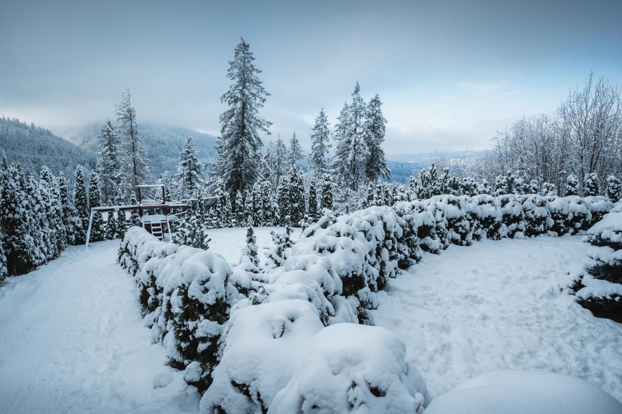 Visitzakopane - Janosik Apartment 外观 照片