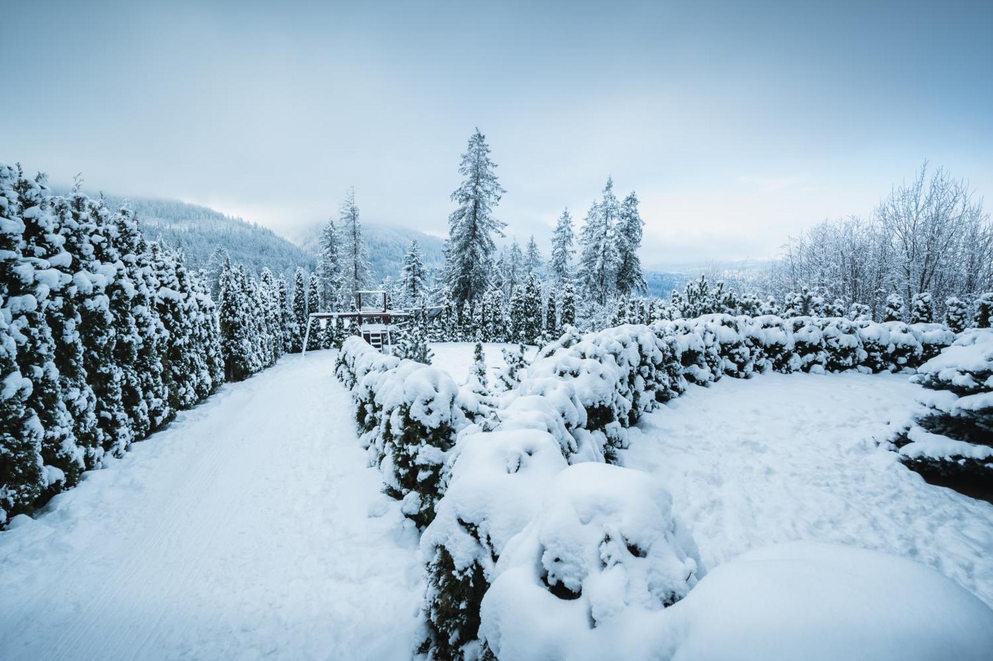 Visitzakopane - Janosik Apartment 外观 照片